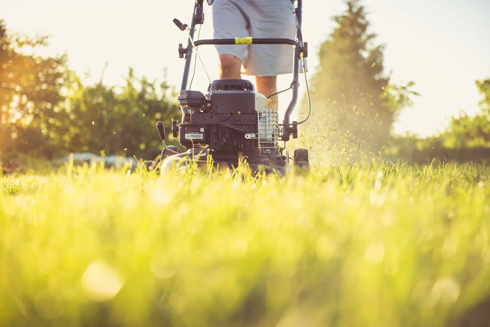 AI Tools for Landscaping Businesses That Actually Help cover