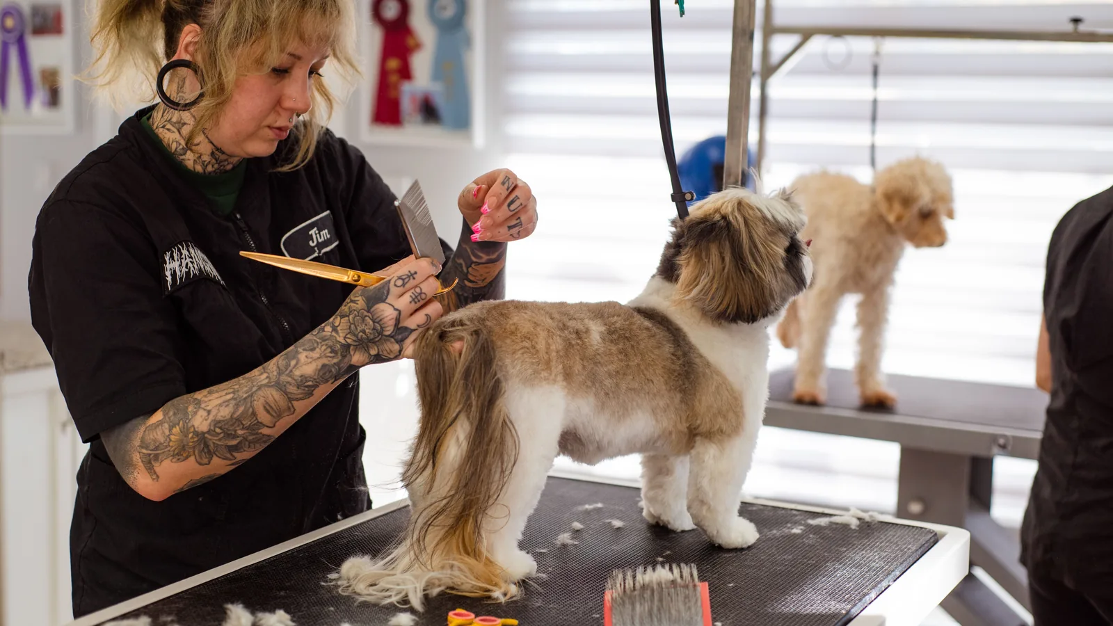 AI Tools for Pet Groomers: What Actually Pays Off cover
