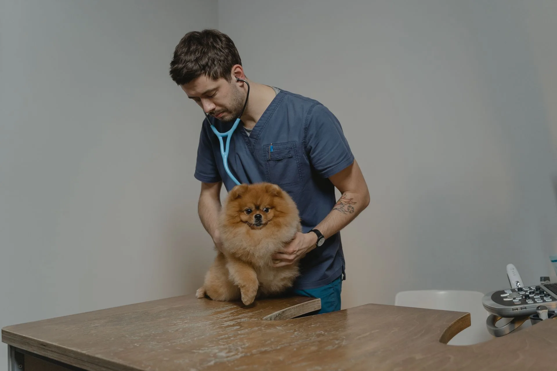 AI Tools for Veterinary Clinics: A Front-Desk Fix cover