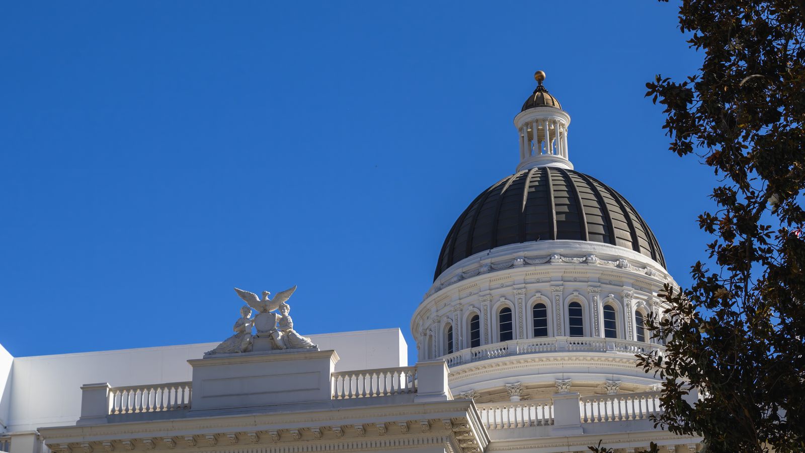 California AI Audit Laws: What Small Builders Owe cover