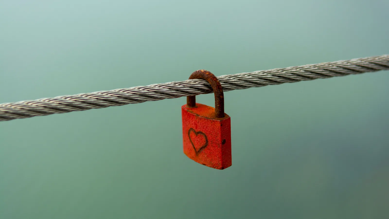 Is It Safe to Give AI Access to Your Data? cover