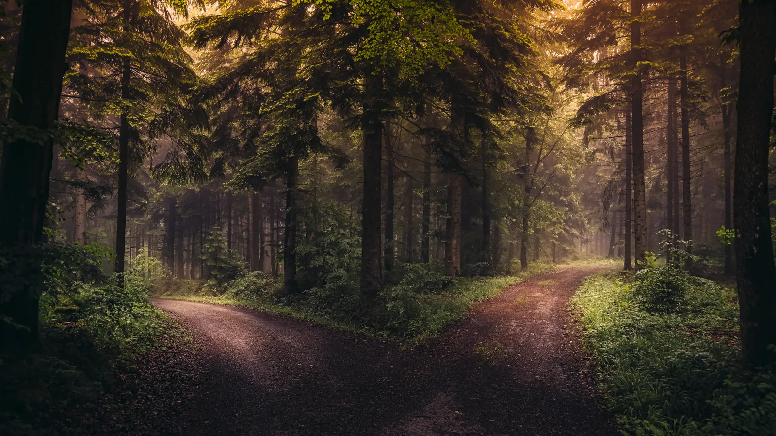 What Is Git Rebase? When to Use It and When Not To cover